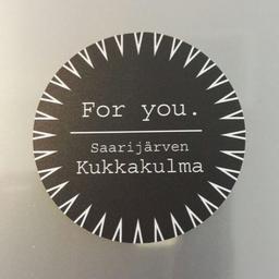 Niina Rautiainen