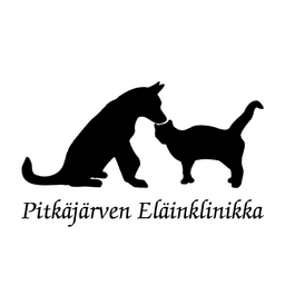 Noora Eerikäinen